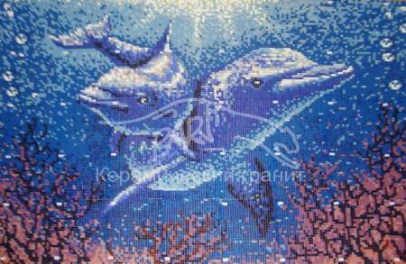 27. Дельфины