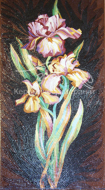 41. Ирисы