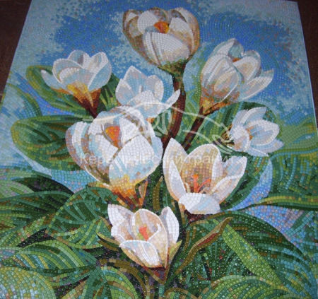 43. Крокусы