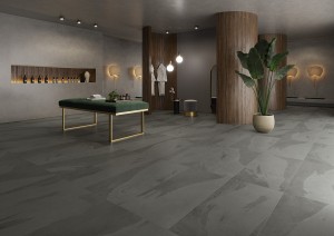 Изображение - Ардезия