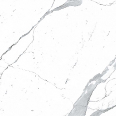 Bianco Statuario Venato