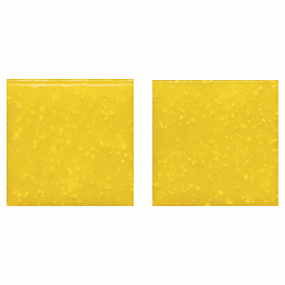 D 81
