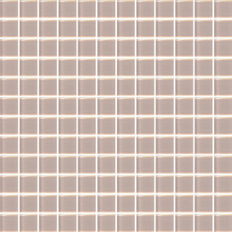 DS 01