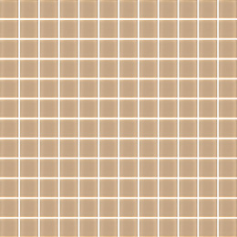 DS 06