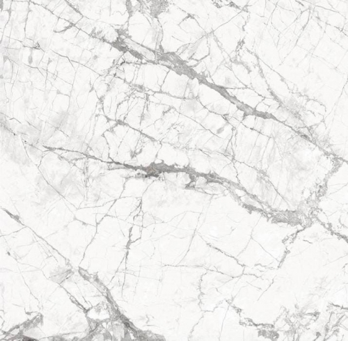 Invisible White